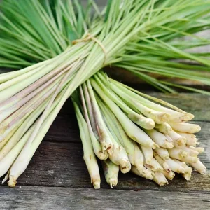 Lemongrass Live Plants – Pack of 2 Citronella Grass Herbs, 4-9 Inch Tall - Image 1