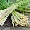 Lemongrass Live Starter Plant - Pack of 2, Citronella Grass, 4-9 Inch Tall - Image 1