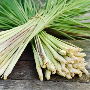 Lemongrass Live Starter Plant - Pack of 2, Citronella Grass, 4-9 Inch Tall - Image 1
