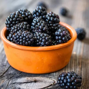 Navaho Thornless Blackberry Live Plant - Pack of 2 Bushes, 4-8 Inch Tall, Outdoor Berry Bush - Image 4