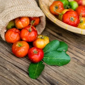 Pack of 2 Barbados Cherry Live Starter Plants, Acerola Cherry Fruit Tree, 4-6 Inch Tall - Image 1