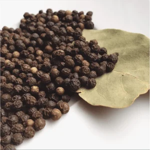 Pack of 2 Black Pepper Live Plants - Piper Nigrum Starter Plants, 4-8 Inch Tall - Image 6