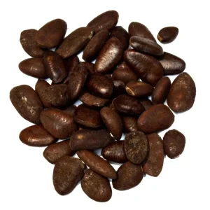 PawPaw Tree Seeds - 20 Seeds for Planting Edible Fruit Trees - Image 2