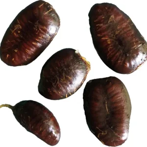 PawPaw Tree Seeds for Planting - 10 Seeds - Edible Fruit - Image 2