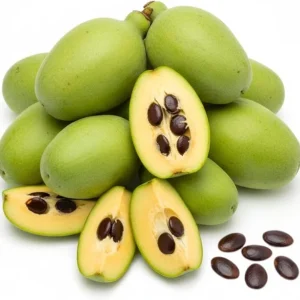 PawPaw Tree Seeds for Planting - 10 Seeds - Edible Fruit - Image 5