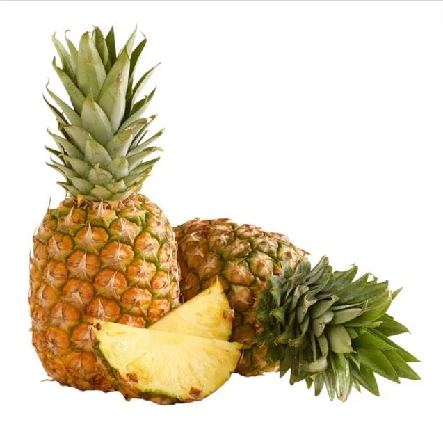 Pineapple Plant Live Starter - Elite Gold Variety, 4 to 6 Inches Tall - Image 6