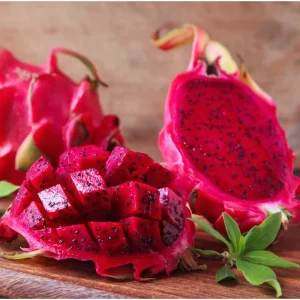 Red Dragon Fruit Live Plant - Sweet Climbing Cactus, Night Bloom, 4 Inch Pot - Image 1