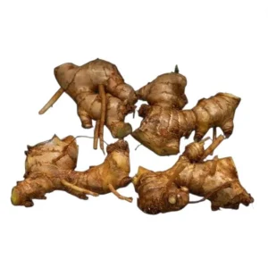 Set 5 Shampoo Ginger Rhizomes - Live Awapuhi Roots for Growing - Zingiber zerumbet Bare Root Plant - Image 10