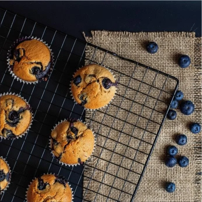 Sunshine Blueberry Live Plant for Home Garden, Compact Bush, 4-8 Inch Tall - Image 5