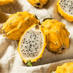 Yellow Dragon Fruit Live Plant - Sweet Pitaya Climbing Cactus 4 Inch Pot - Image 1