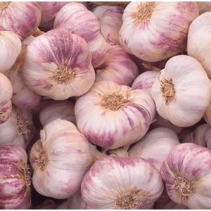 0.5 Lb Mixed Hardneck Garlic Bulbs - Ready to Grow Cloves for Planting - Image 5