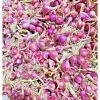 0.5lb Red Shallot Bulbs for Planting – Onion Sets for Home Gardens - Image 1