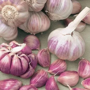 1 Lb Mixed Garlic Bulbs for Planting - Hardneck Garden Garlic Tubers, White Red Purple - Image 3