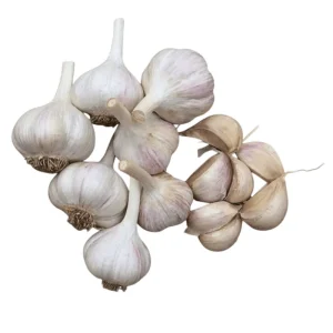 1 Lb Mixed Hardneck Garlic Bulbs for Planting - Chesnok Red, Music, Italian, German, Russian Garlic - Image 7