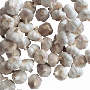 1 Pound Garlic Cloves for Planting - Allium sativum Bulbs - Hardneck, Mixcolor - Image 2