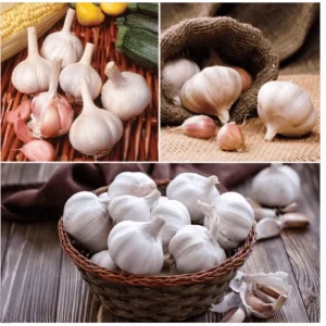 1 Pound Garlic Cloves for Planting - Allium sativum Bulbs - Hardneck, Mixcolor - Image 3