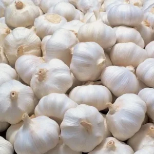 1 Pound Hardneck Garlic Bulbs for Planting, White Garlic Tubers - Image 2