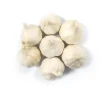 1 Pound Hardneck Garlic Bulbs for Planting, White Garlic Tubers - Image 1