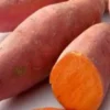10 Beauregard Sweet Potato Slips - Organic Sweet Potato Cuttings - Image 1