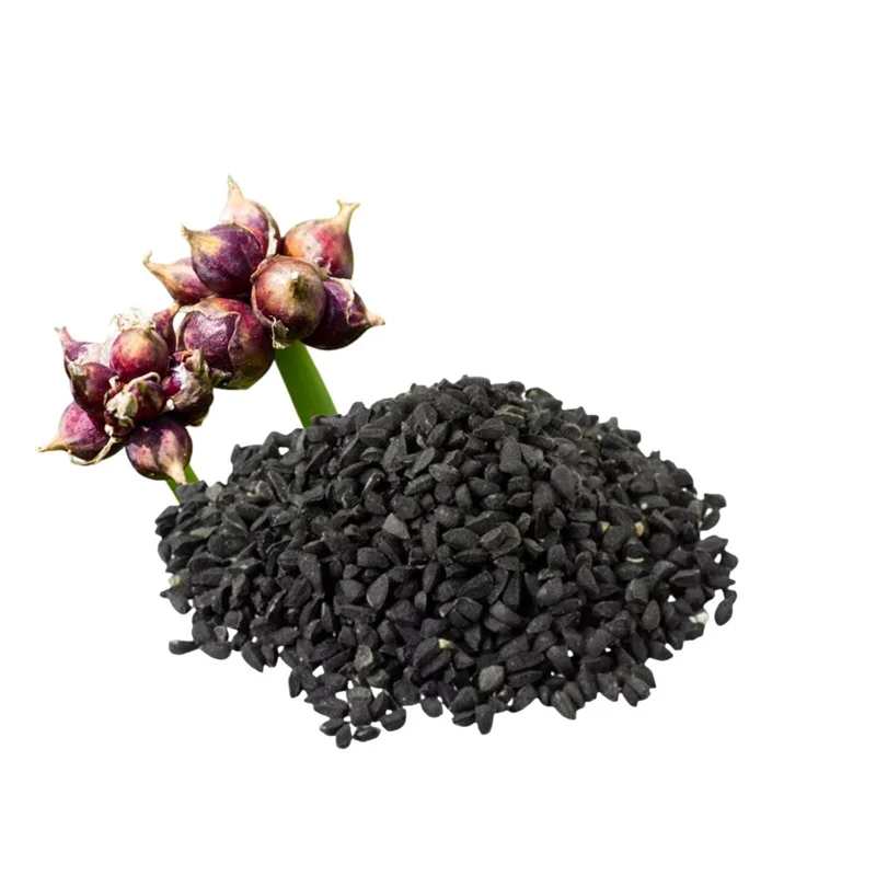 10 Egyptian Walking Onion Seeds - Perennial, Hardy, Easy-to-Grow - Image 1