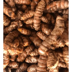 10 Fresh Turmeric Rhizomes - Curcuma Longa for Planting, Herb Tubers - Image 3