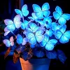 10+ Heirloom Blue Butterfly Coleus Seeds – Rare Ornamental Foliage Plant - Image 1