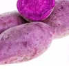 10 Molokai Purple Sweet Potato Slips - Live Plants for Edible Garden, Outdoors - Image 1