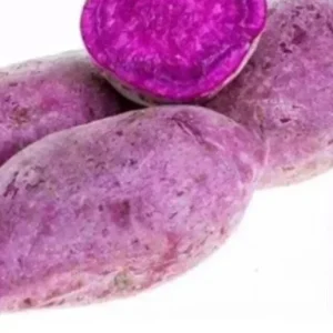 10 Molokai Purple Sweet Potato Slips - Live Plants for Edible Garden, Outdoors - Image 1