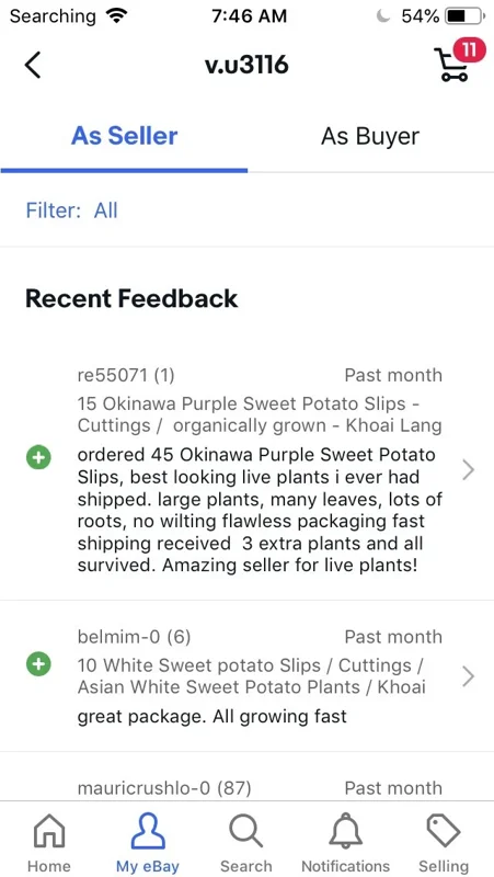 10 Okinawa Purple Sweet Potato Slips - Organic Unrooted Cuttings for Planting - Image 12