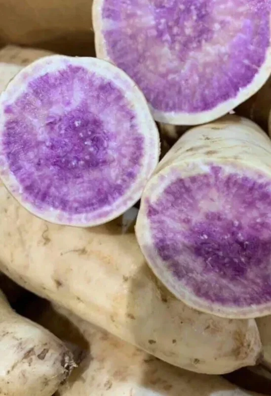 10 Okinawa Purple Sweet Potato Slips - Organic Unrooted Cuttings for Planting - Image 9