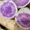 10 Okinawa Purple Sweet Potato Slips - Organic Unrooted Cuttings for Planting - Image 1