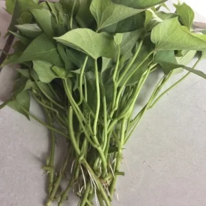 10 Organic Okinawa Purple Sweet Potato Slips - Cuttings Live Plant - Image 3