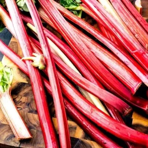 10 Victoria Rhubarb Bulbs for Planting - Heirloom Perennial Vegetable Garden Starter - Image 3