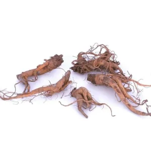 10 Victoria Rhubarb Bulbs for Planting - Heirloom Perennial Vegetable Garden Starter - Image 7