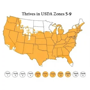 100 Carolina Reaper Chili Pepper Seeds - World Record Hot Peppers - Image 9