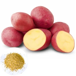 140 Red Potato Seeds for Planting - Easy Grow Vegetable Garden - Image 1