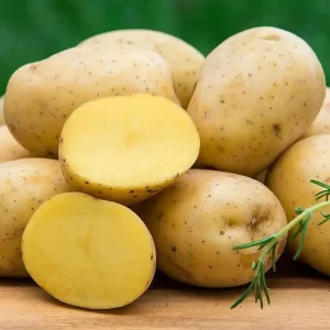 140 Yukon Gold Potato Seeds for Planting - Easy Grow Vegetable Seeds - Image 4