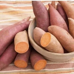 15 Beauregard Sweet Potato Slips - Organically Grown Live Plant Cuttings - Image 5