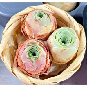 15 Greenovia Aurea Mountain Rose Succulent Seeds - Rare Succulent Seeds - Image 6