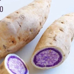 15 Okinawa Purple Sweet Potato Slips - Organic Cuttings for Planting - Image 8