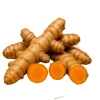 15 Orange Turmeric Roots for Planting - Perennial Herb Tubers Curcuma Longa Bulbs - Image 1