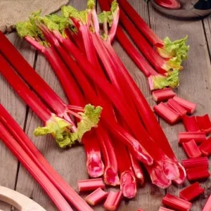 15 Pack Victoria Rhubarb Bare Roots for Planting - Hardy Perennial Vegetable - Image 9