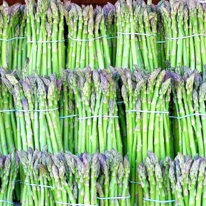 150+ Asparagus Seeds Perennial Vegetable Heirloom Non-GMO for Spring Garden - Image 1