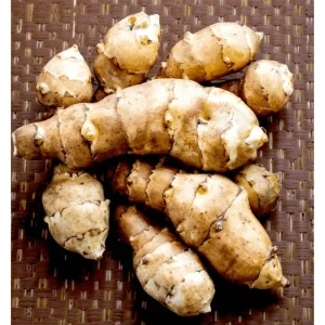 1lb White Jerusalem Artichoke Tubers for Planting - Sunchokes, Sunroot - Image 4