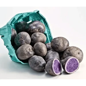 2 Lbs Blue Adirondack Seed Potatoes - Purple Whole Tubers for Planting - Image 4