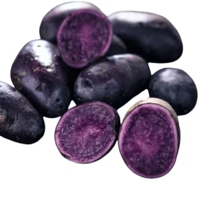2 Lbs Blue Adirondack Seed Potatoes - Purple Whole Tubers for Planting - Image 5