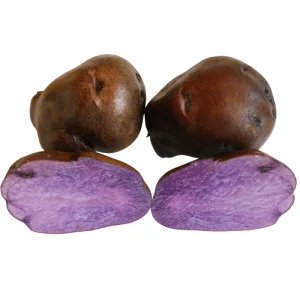 2 Lbs Blue Adirondack Seed Potatoes - Purple Whole Tubers for Planting - Image 6