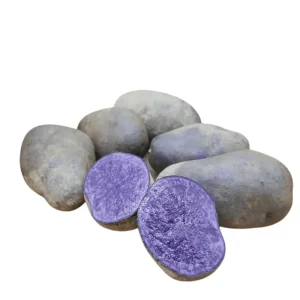 2 Lbs Blue Adirondack Seed Potatoes - Purple Whole Tubers for Planting - Image 7