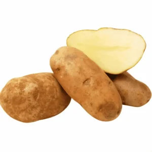 2 Lbs Idaho Potato Seeds for Planting - Brown Potato Tubers - Image 4