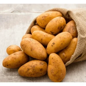 2 Lbs Idaho Potato Seeds for Planting - Brown Potato Tubers - Image 5